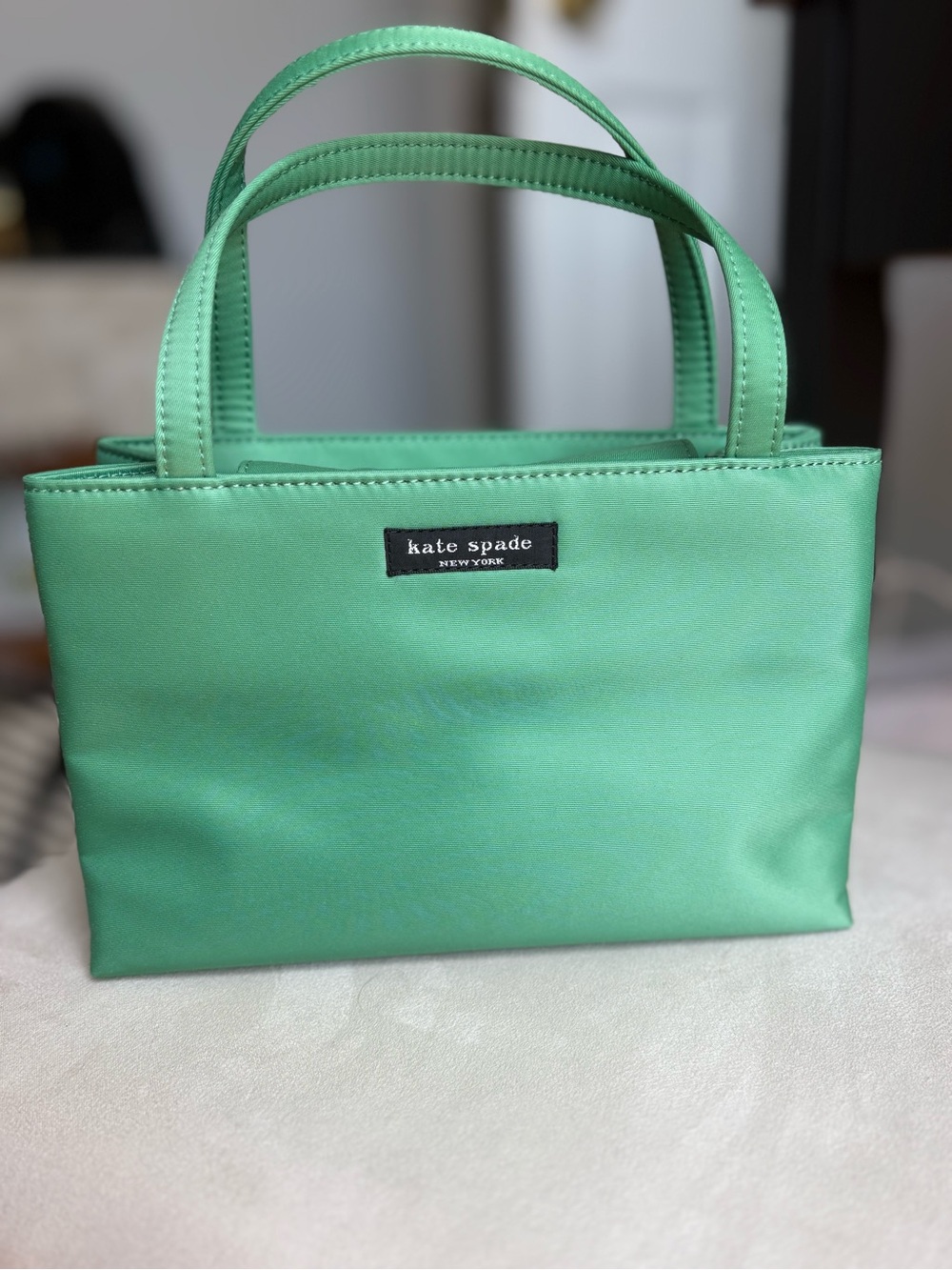 Kate Spade New York Green Nylon Mini Tote
With Dust Bag